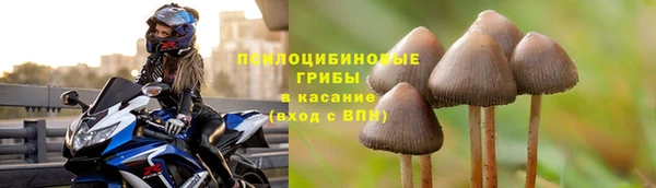 винт Магас