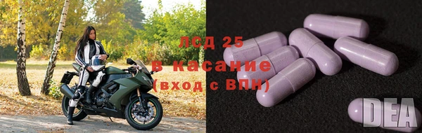 ECSTASY Магадан