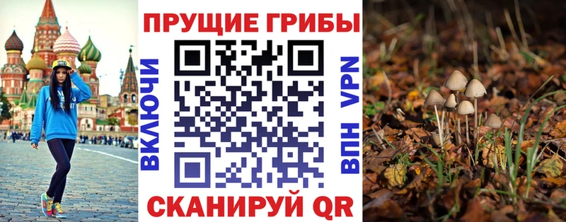 Псилоцибиновые грибы мицелий Лакинск
